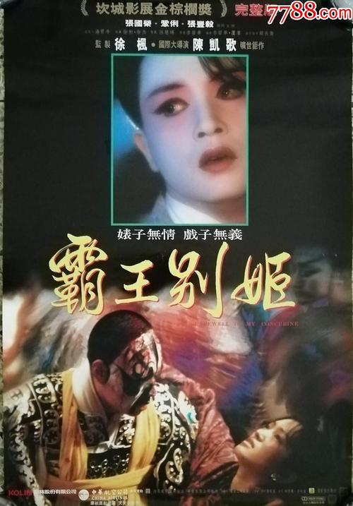 办塔吊操作证